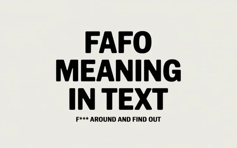FAFO meaning in text